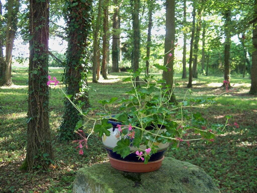 Couddes Le Pre Karvain B&B 외부 사진